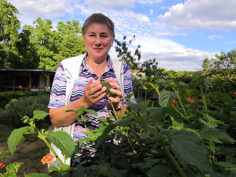 Marion Krause steht an einem Hochbeet und umschließt mit beiden Händen die Blätter einer Pflanze. Im Hintergrund blauer Himmel.